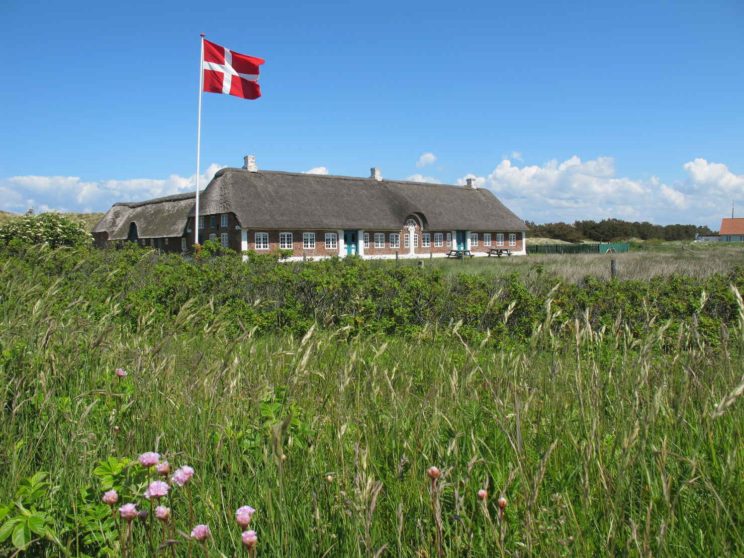 Aberlines gaardIMG_2015.JPG