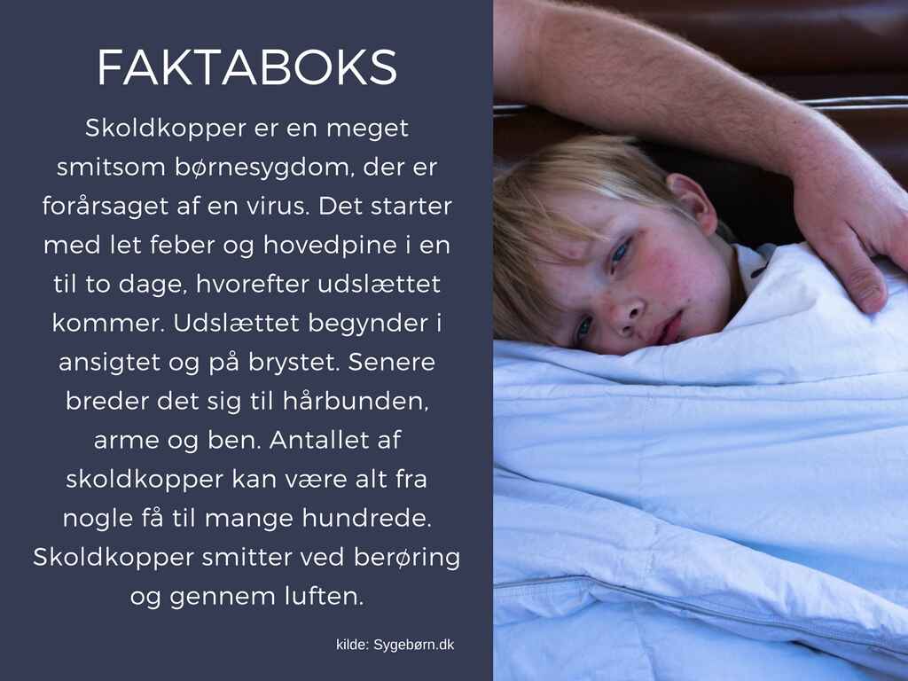 Alt=-skoldkopper-ferie-.jpg