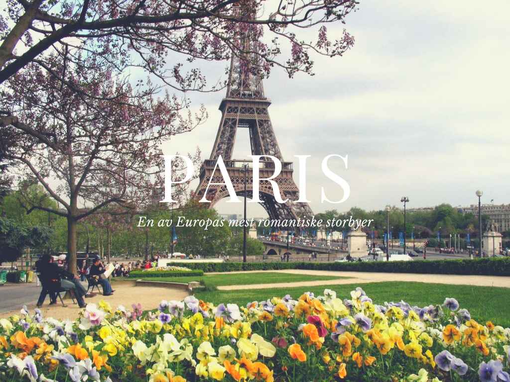 PARIS.NO.jpg