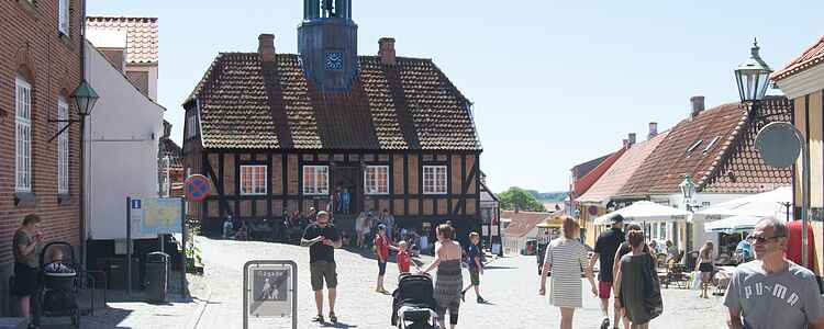 10 bedste aktiviteter for børn i Ebeltoft