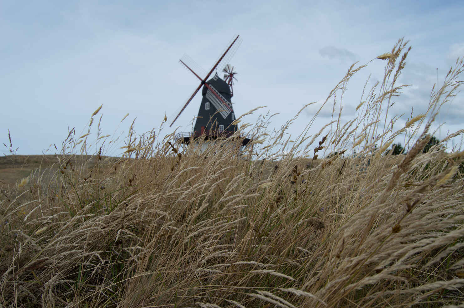 Fanø-156.jpg