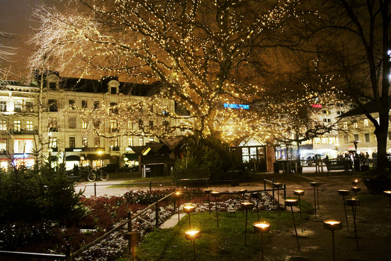 miriam_preis-christmas_lights-358.jpg