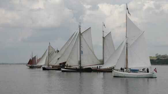 regatta5.jpg