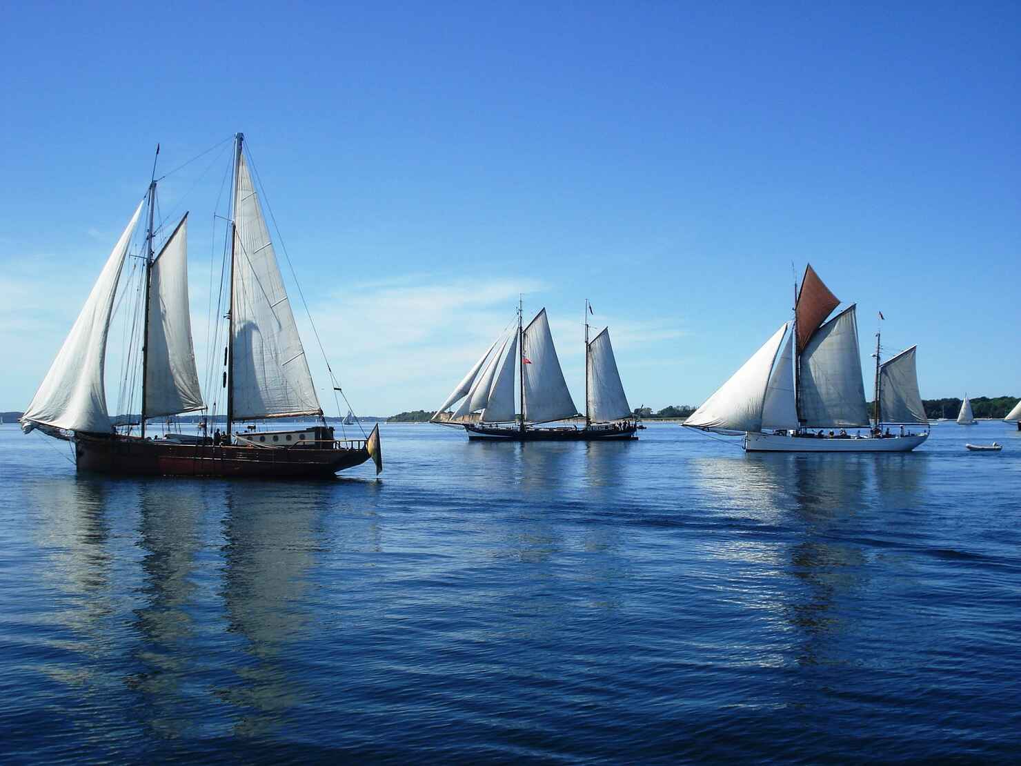 Flensburg_Rumregatta_Fjord_Segelschiffe.jpg