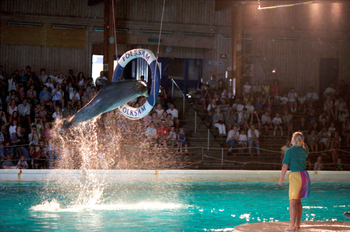 Kolmården-delfinarium.JPG