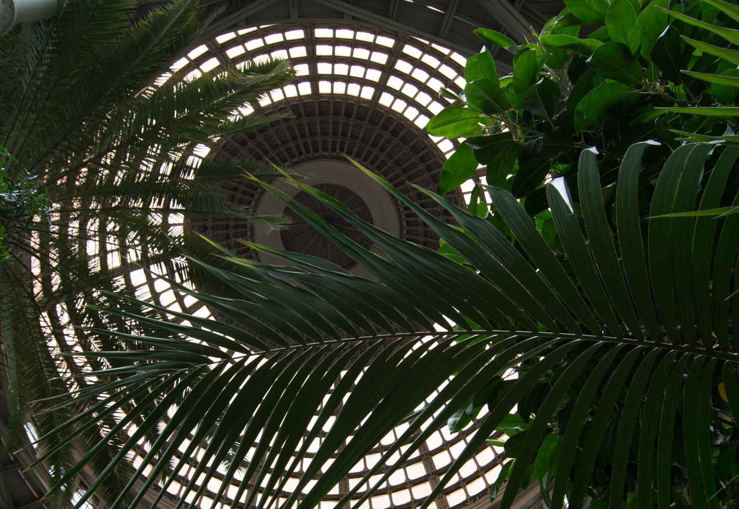 Glyptoteket-30.jpg