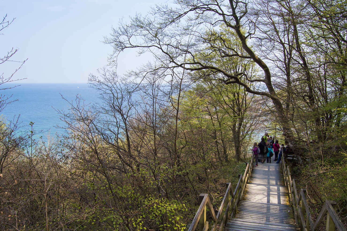 Møns klint-34.jpg