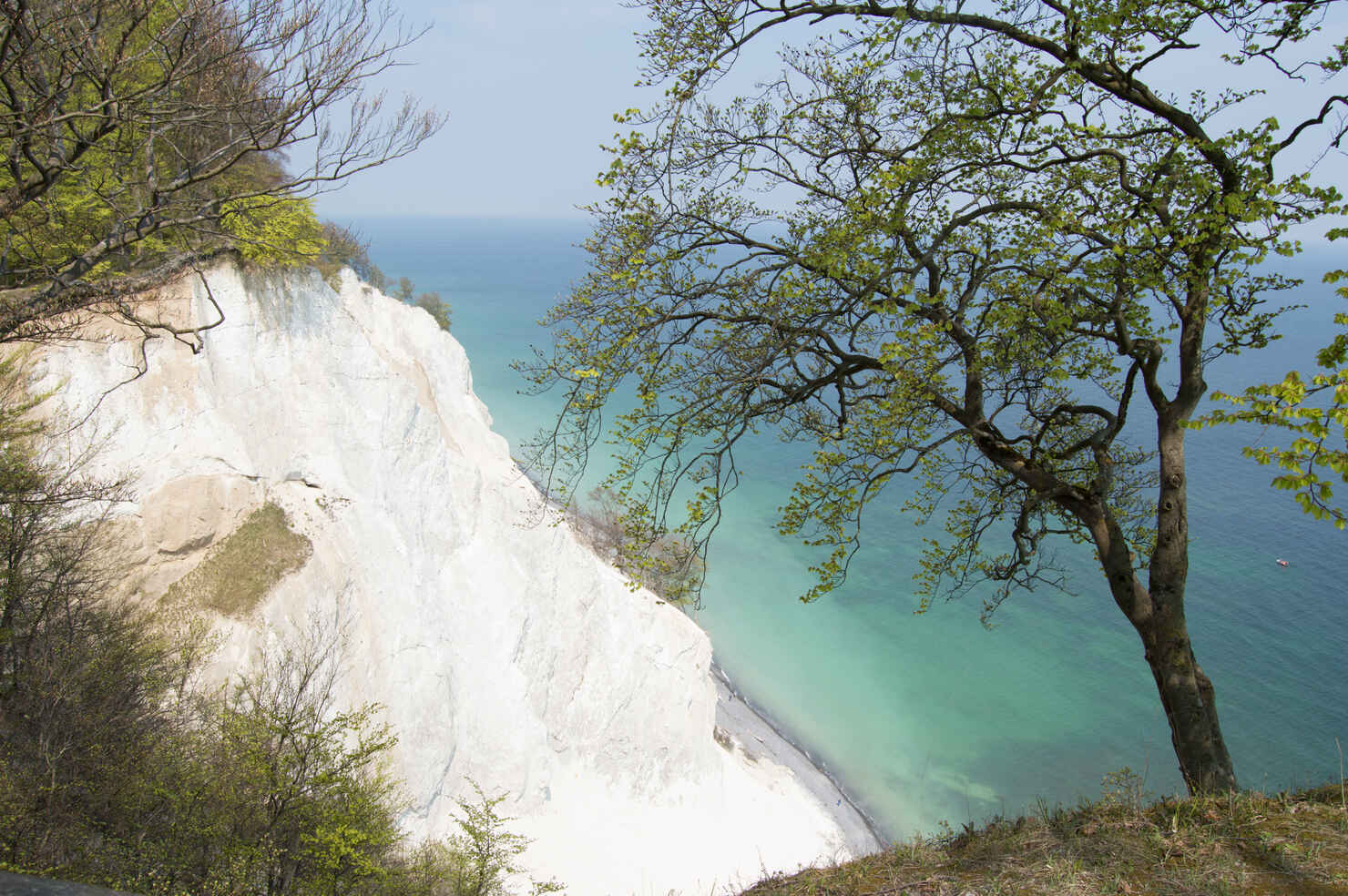 Møns klint-84.jpg
