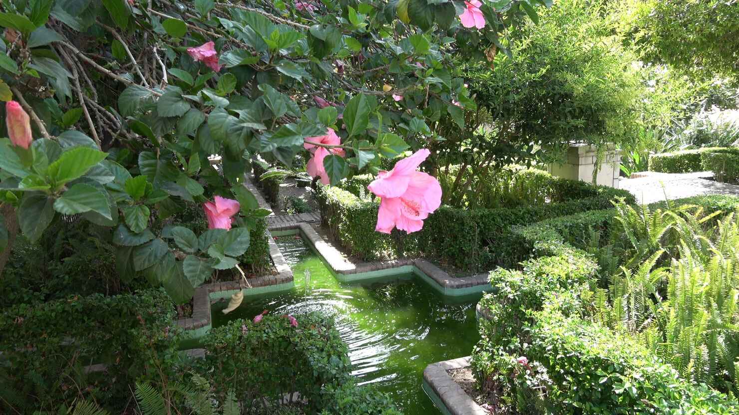 Foto-32.jpg