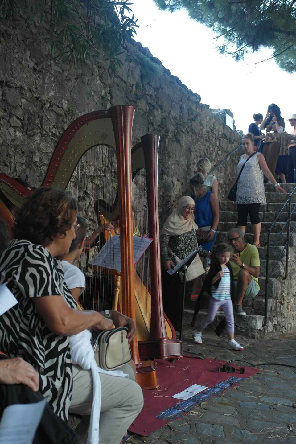 Harpespil ved forfattertræf i måneskin, Saint Paul, august 2014