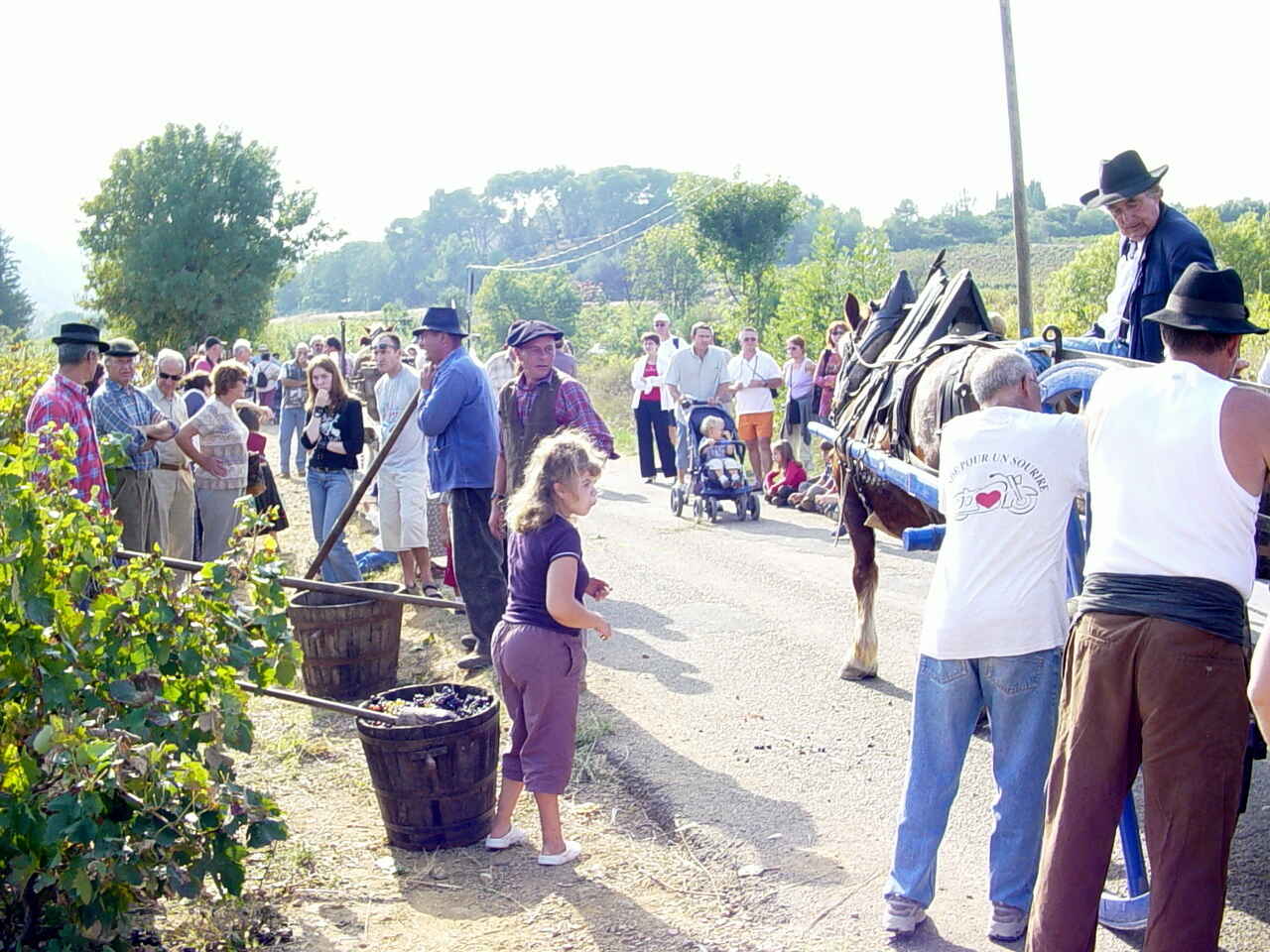 Vinfest i Cessenon