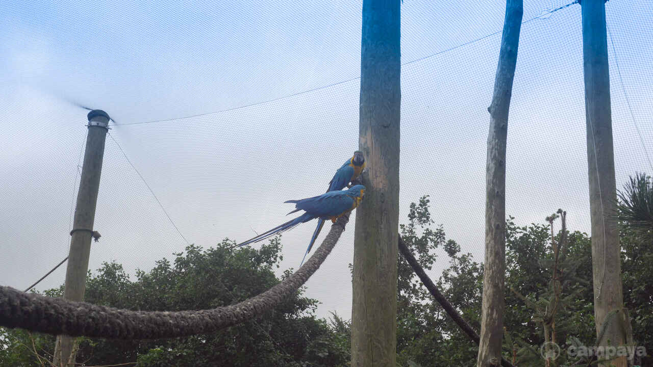 Blåvand Zoo-2.jpg