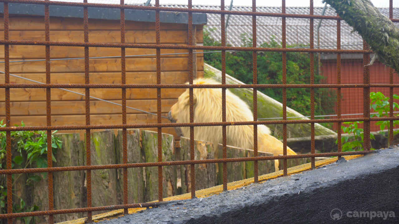 Blåvand Zoo-7.jpg