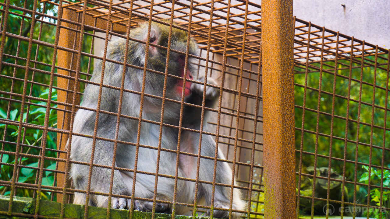Blåvand Zoo-9.jpg