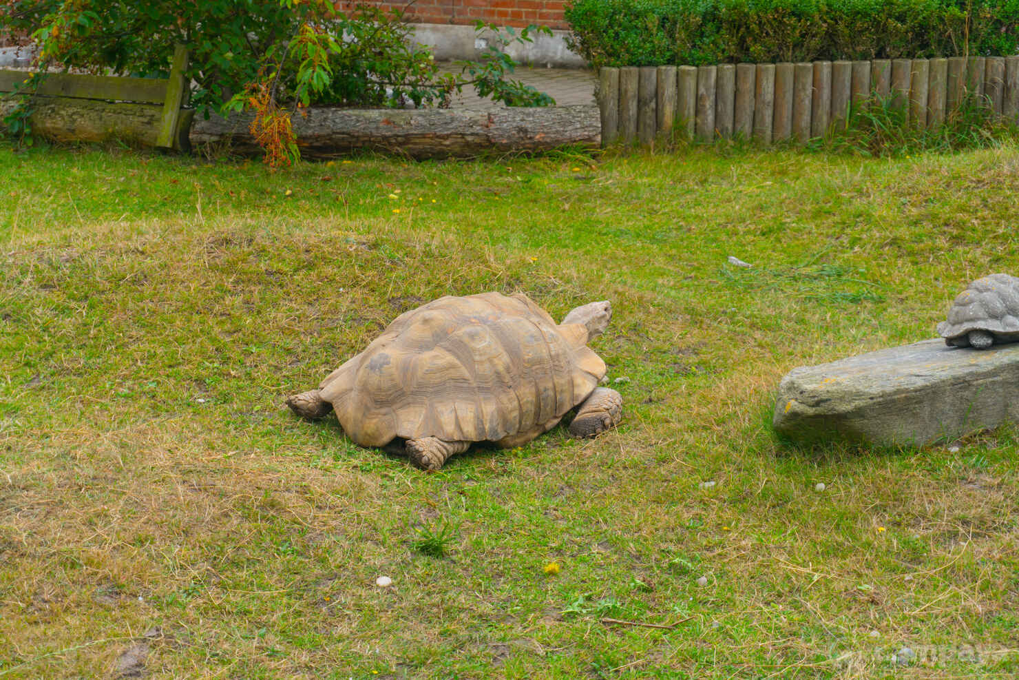 Blåvand Zoo-8.jpg