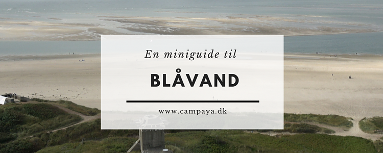 Miniguide til Blåvand