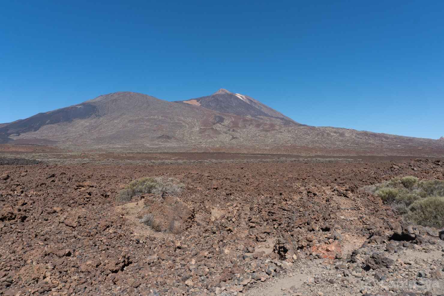 El-Teide-15.jpg