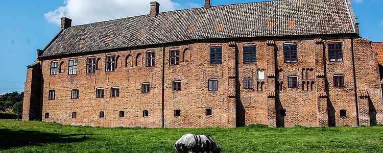 15 af de bedste oplevelser og seværdigheder i Helsingør (2021)