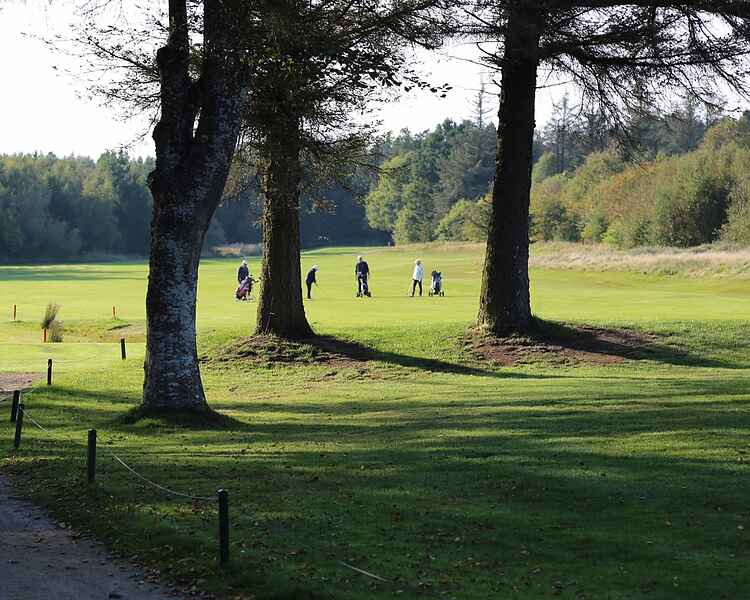 10 Af De Bedste Golfklubber I Nordjylland (2021)