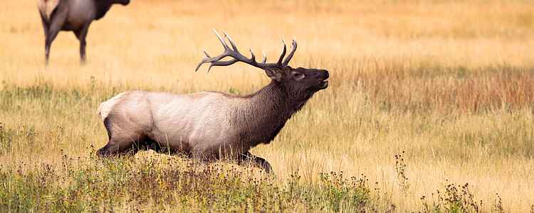 Open season has begun!