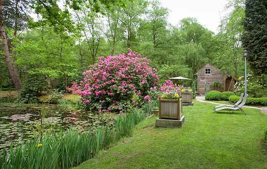 Cottage mh39977