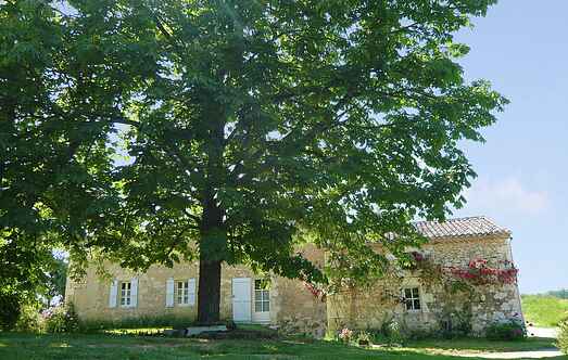 Sommerhus mh35283