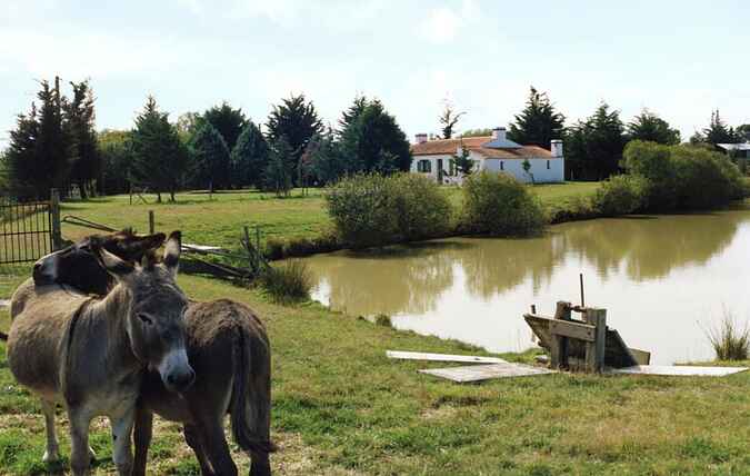 Sommerhus mh35747