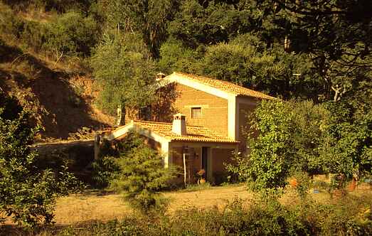 Cottage mh45731