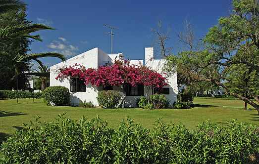 Bungalow mh38261