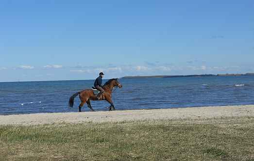 Holiday home mh59934
