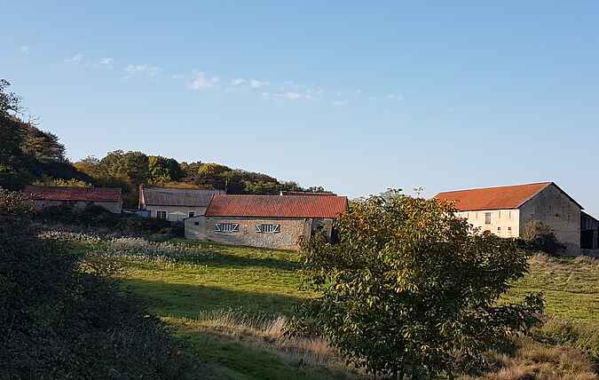 Sommerhus mh68809