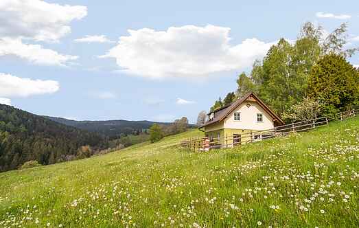 Cottage mh64153