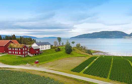 Sommerhus mh59851