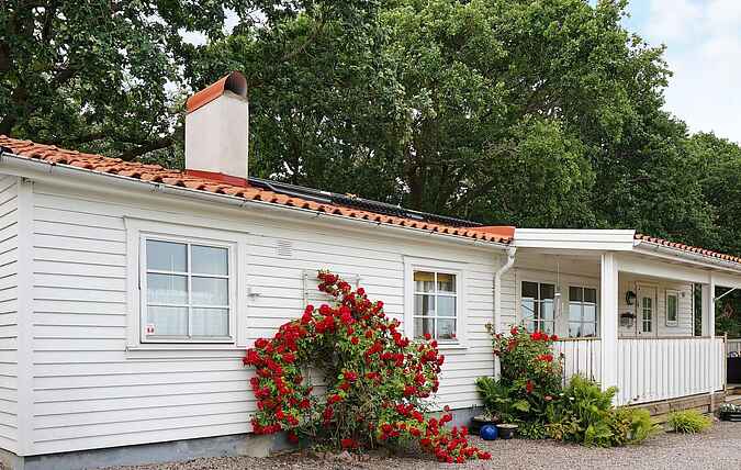 Vakantiehuis mh45533