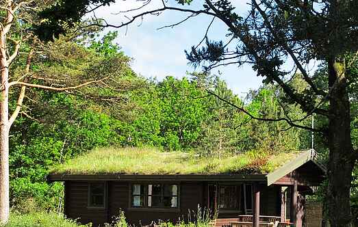 Ferienhaus mh9395