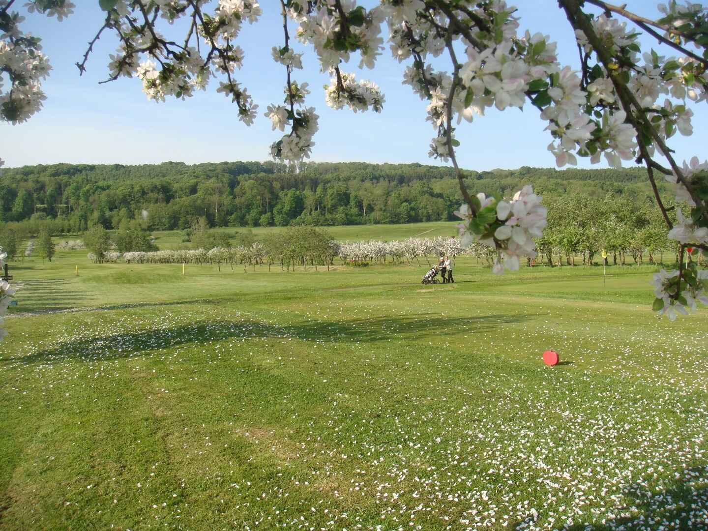 28 maj 2012 361.JPG