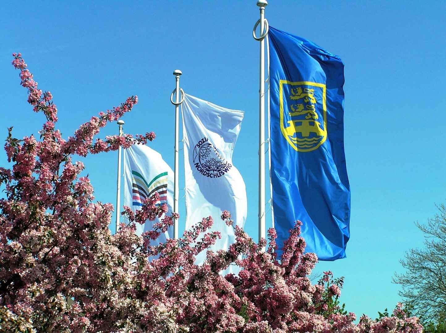 det-tyske-mindretal-i-danmark.jpg