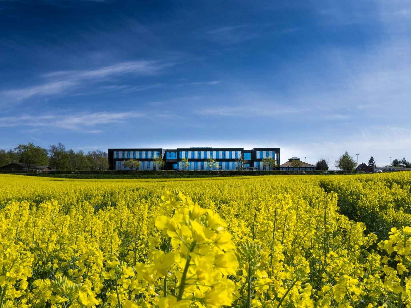 Andelskassen.jpg