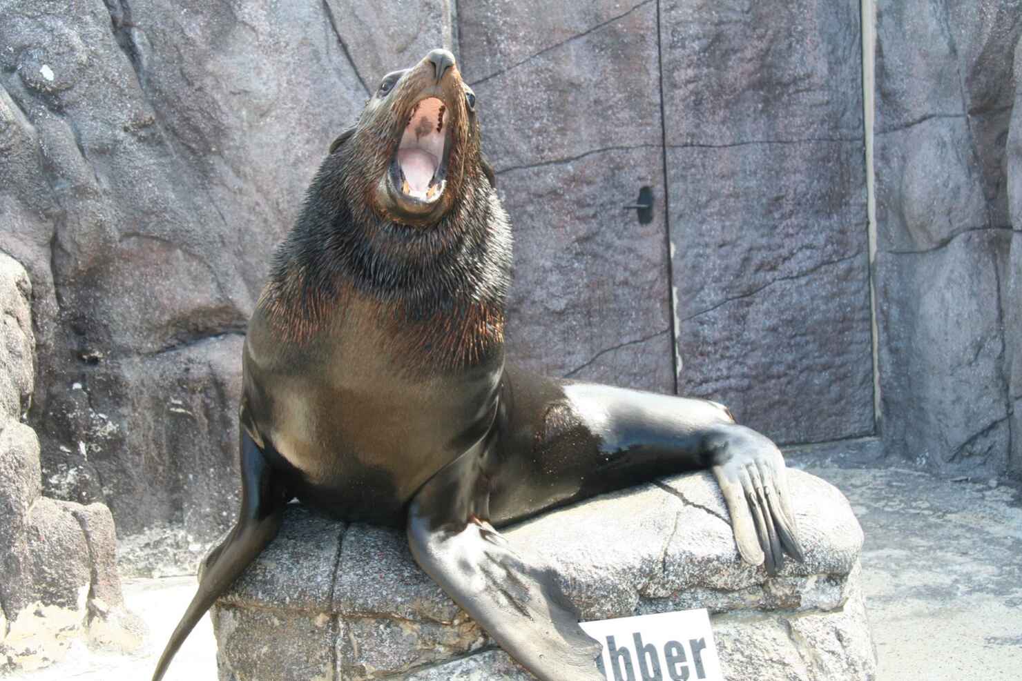 Jyllands Park Zoo 2.jpg