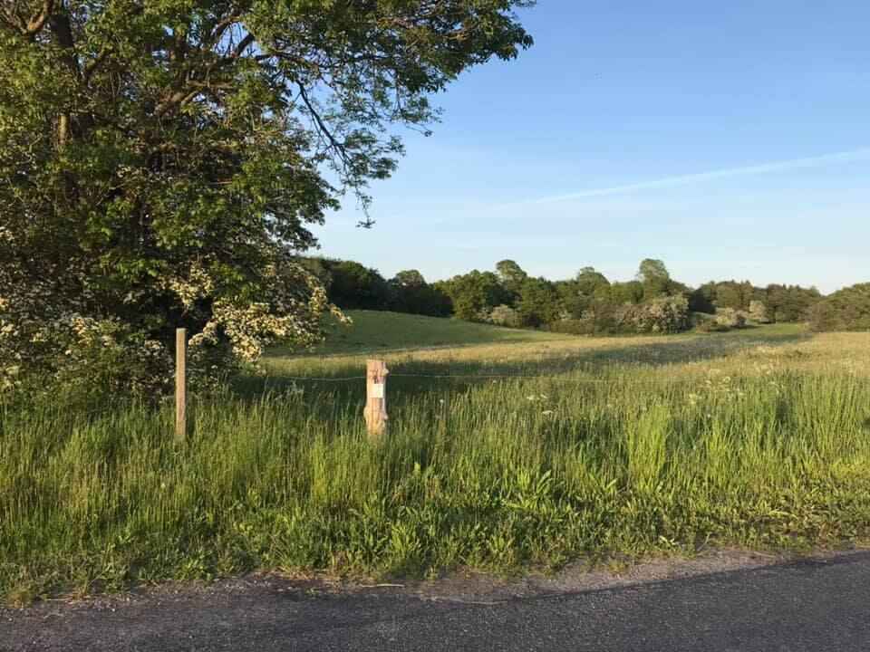 Camino Haderslev Næs.jpg
