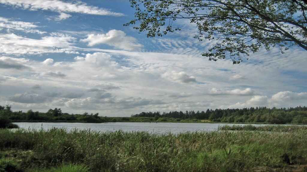 Gormosen.jpg