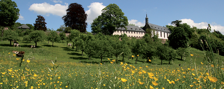 8 spannende Aktivitäten und Sehenswürdigkeiten für einen Urlaub in Heidelberg (2020)