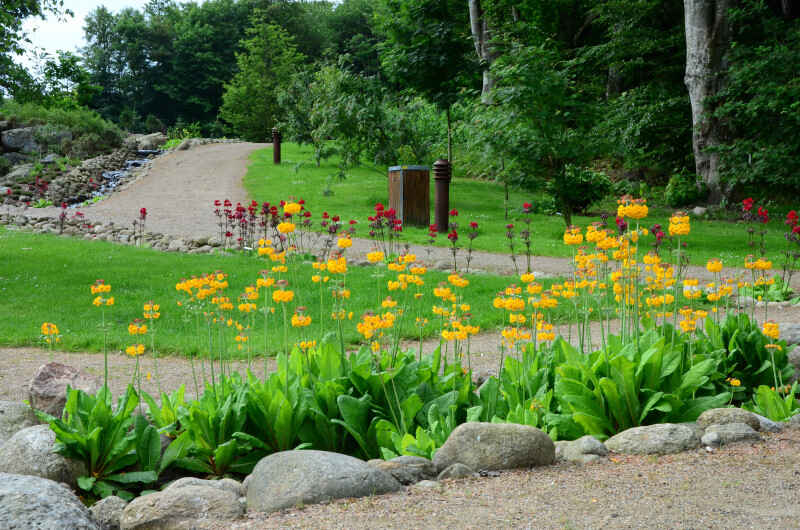 Bangsbo Botaniske Have.jpg
