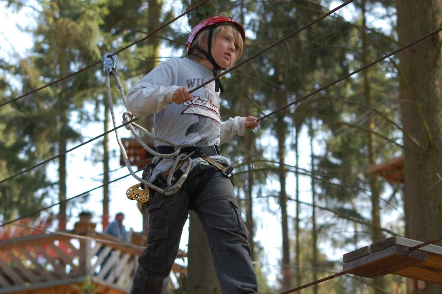 adventureforest03.jpg