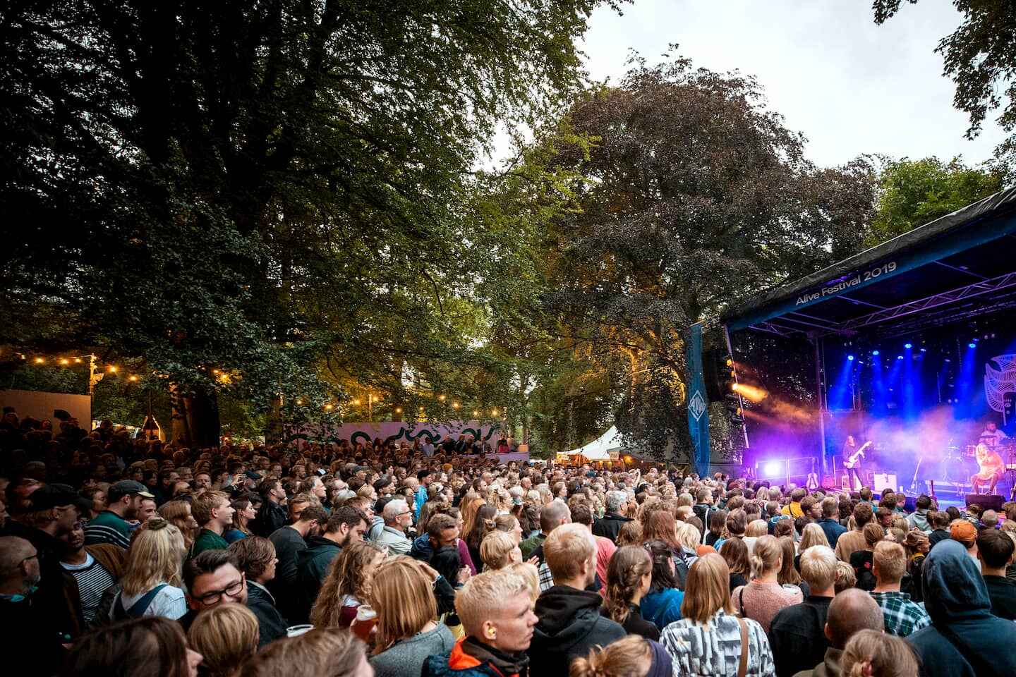 Alive Festival.jpg
