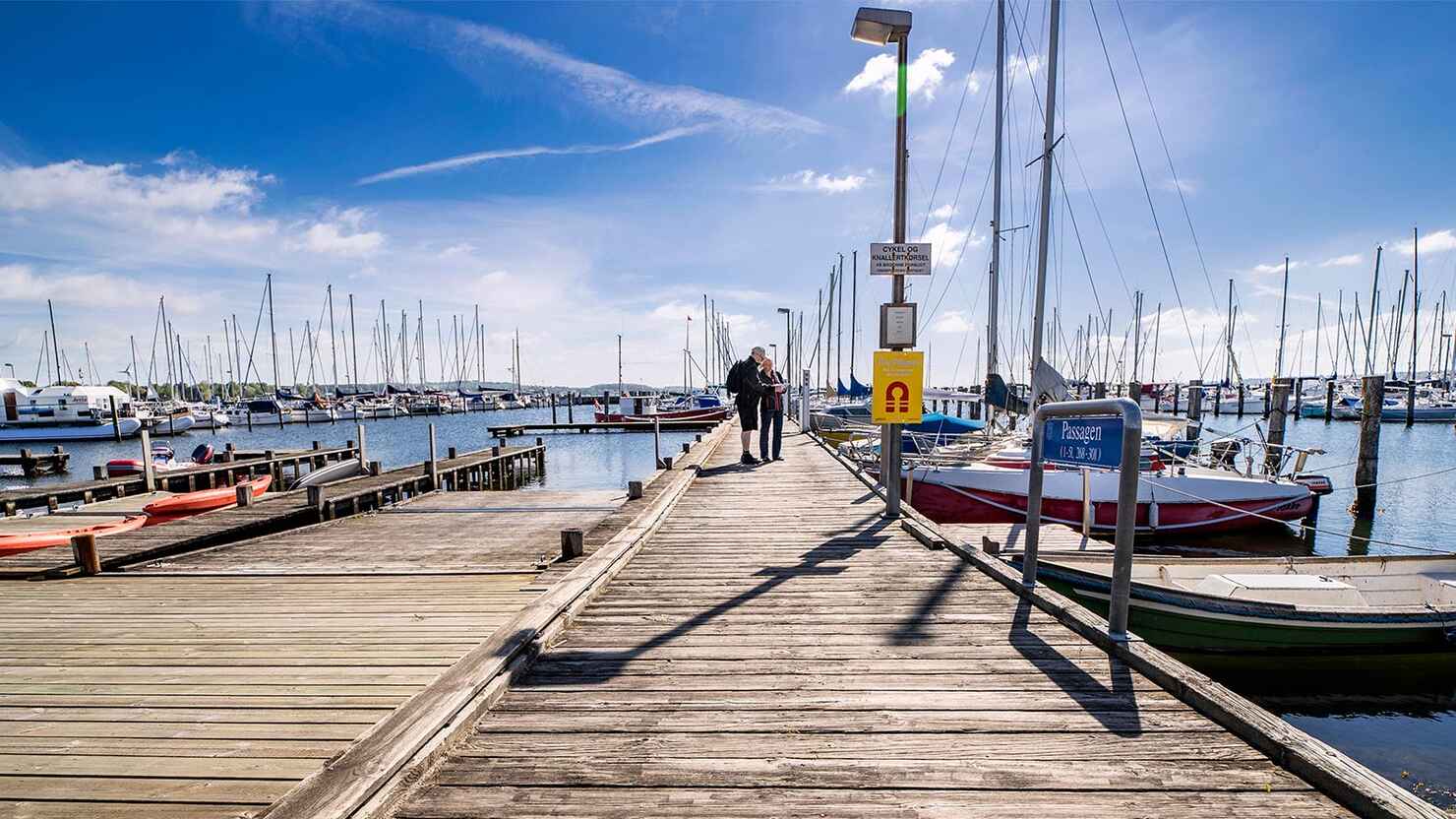 Horsens Marina.jpg
