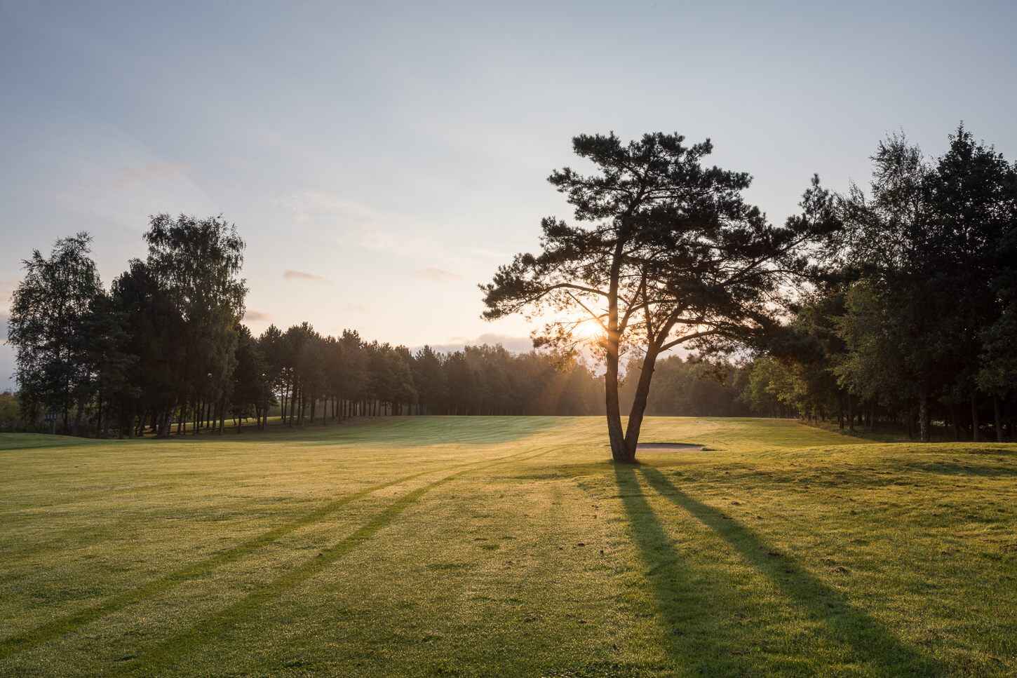 Randers Golf Klub.jpg