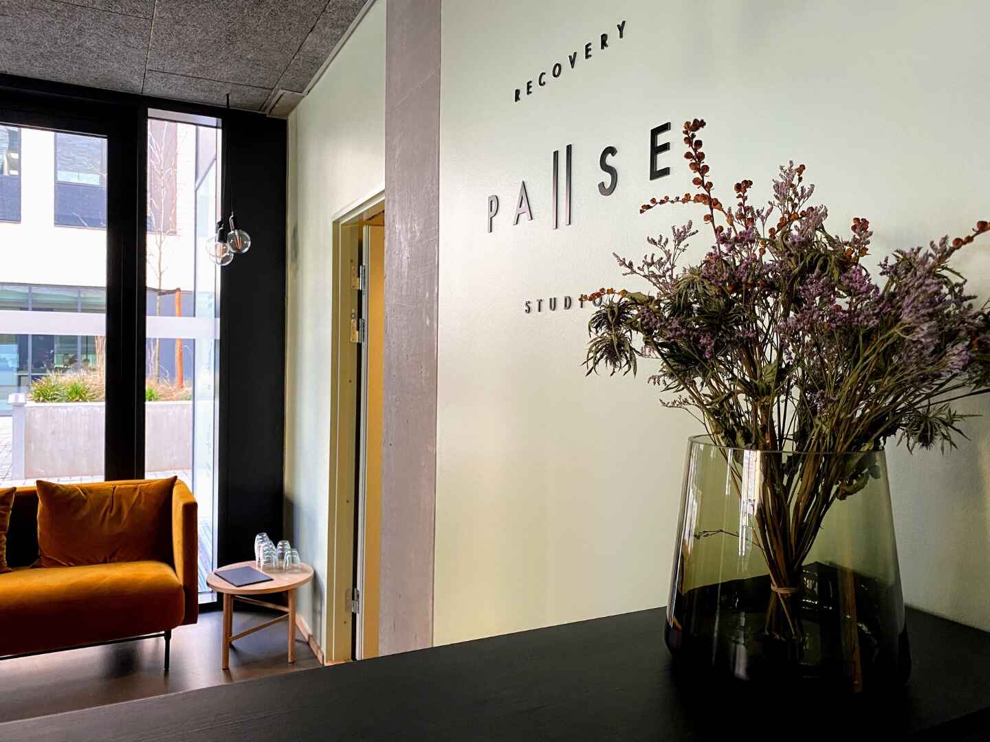 pause recovery studio.jpg