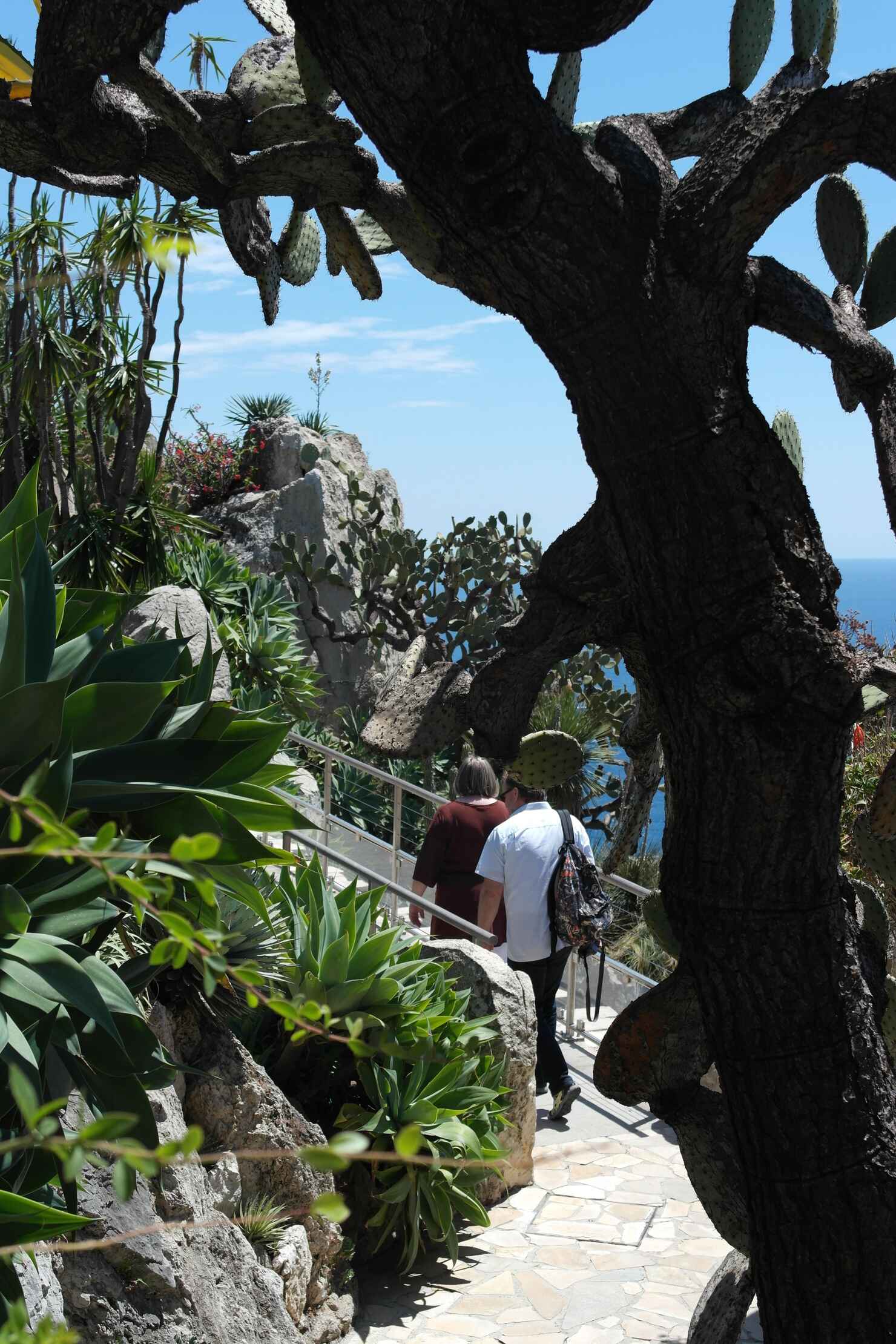Jardin Exotique, Monaco