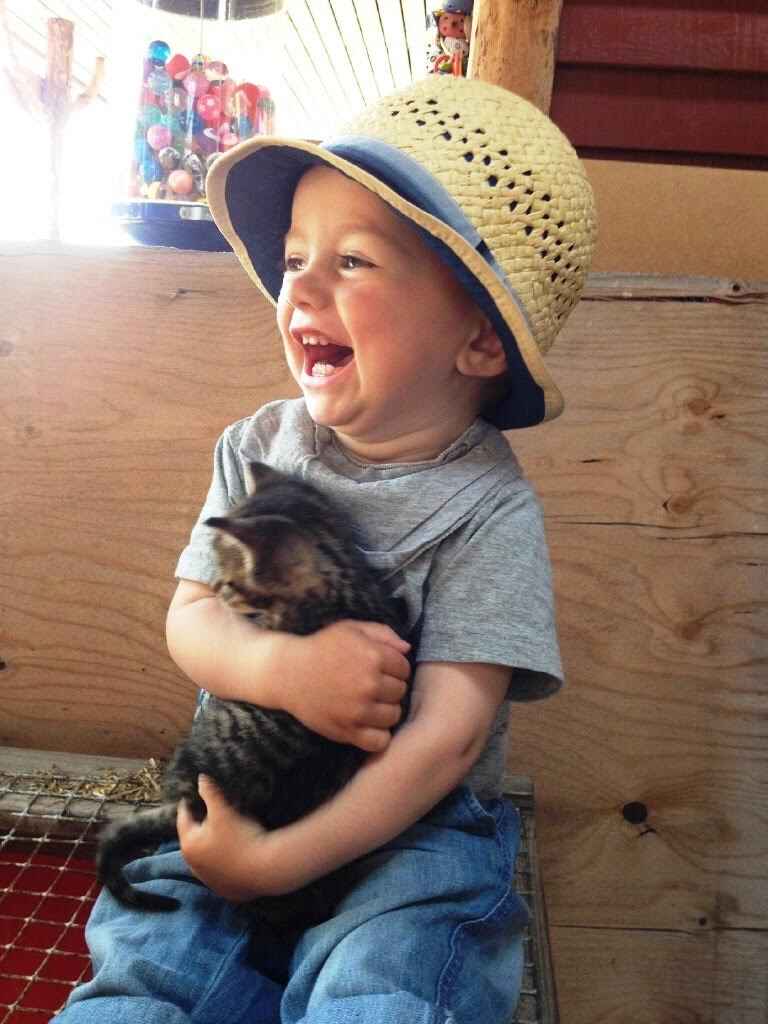 farmfun1.jpg